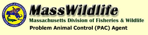 Mass Wildlife Problem Control (PAC) Agent