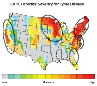 Serverity for Lyme Disease