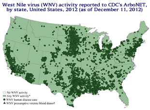 West Nile Virus Activity