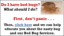 Bed Bugs -  Freedom Pest Control - Specialists in Insect Extermination, Animal and Pest Removal and Exclusion - Topsfield, Massachusetts